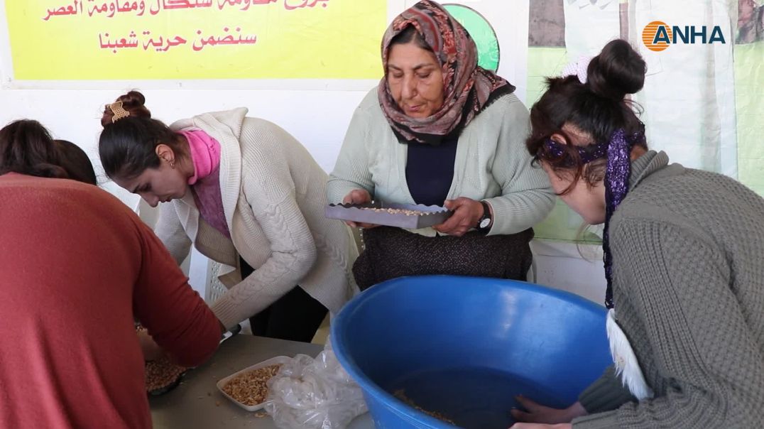 الإيزيديون يحيون طقوس عيد خدر الياس بتحضير "بيخوين"