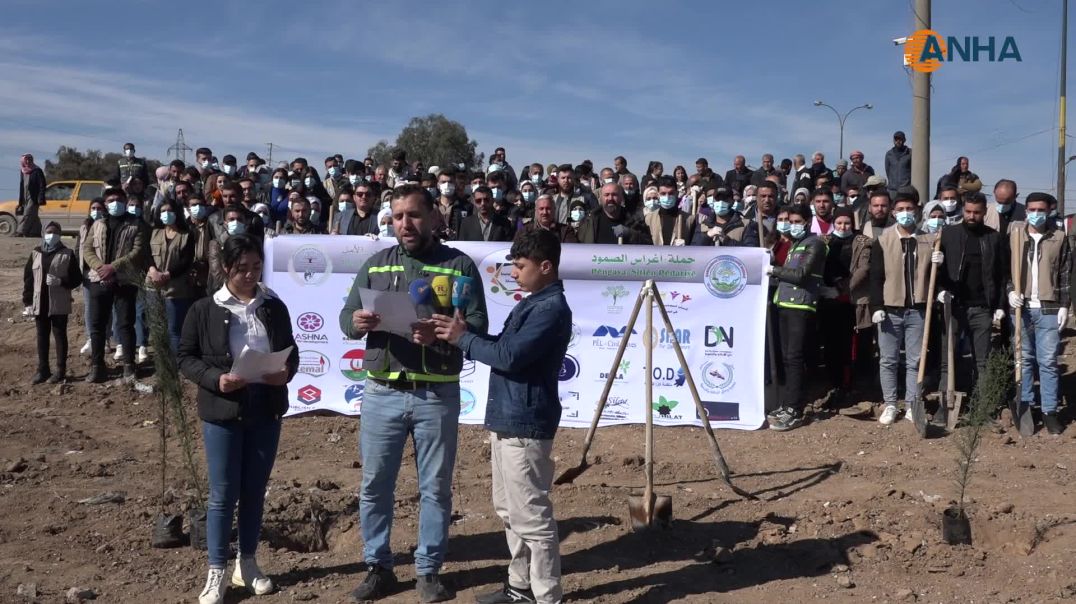 حملة لتشجير 500 شجرة في الحسكة
