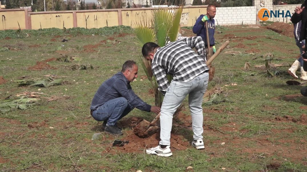 البدء بزراعة 1000 شجرة في ناحية الدرباسية 