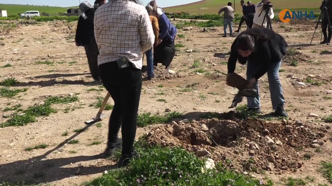 زراعة 800 شجرة بمناسبة الرابع من نيسان