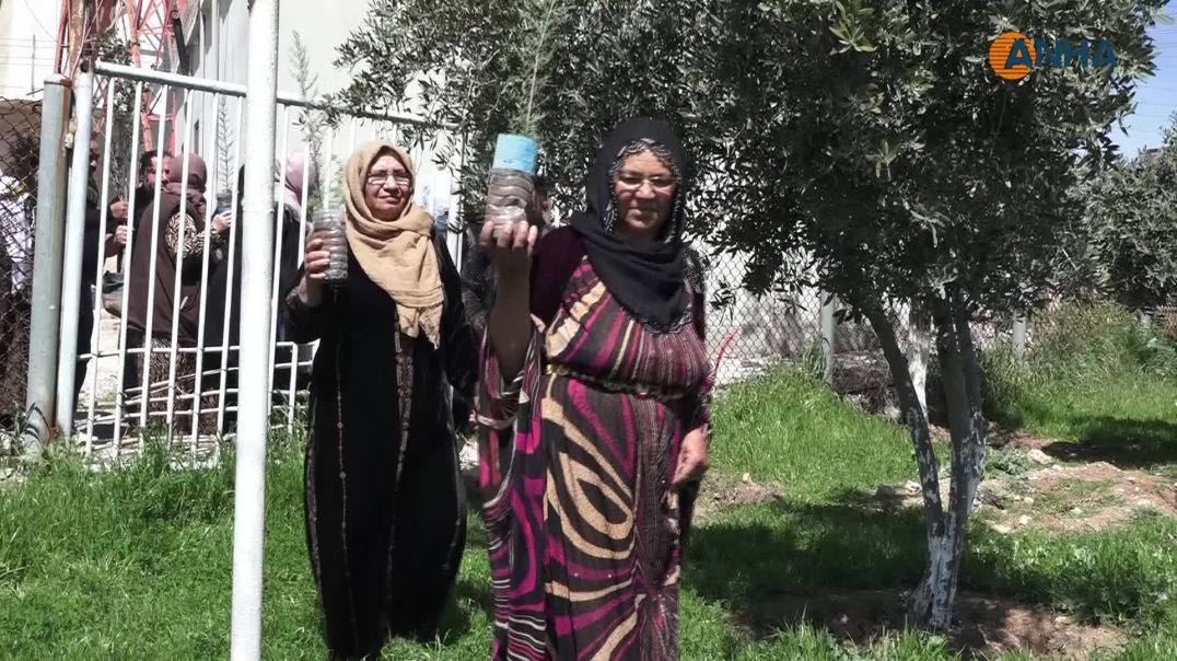 زراعة الأشجار في مدينة قامشلو احتفاءً بميلاد القائد عبد الله أوجلان