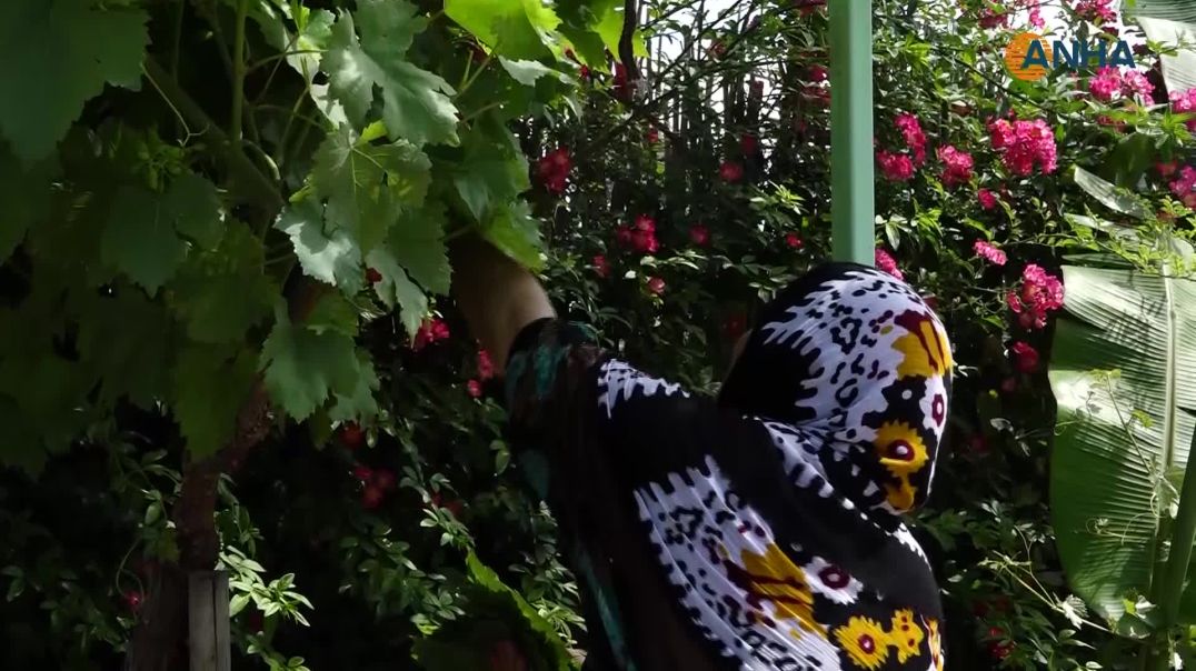أوراق الفصول الأربعة