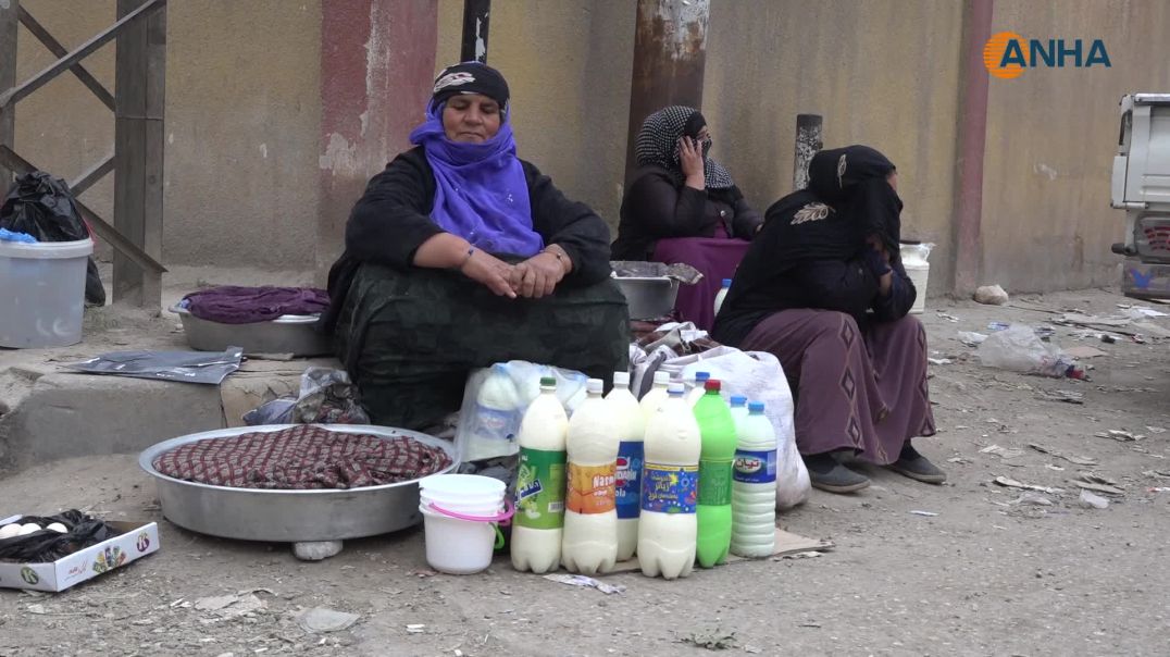 يوم مع بائعات الحليب ومشتقاته