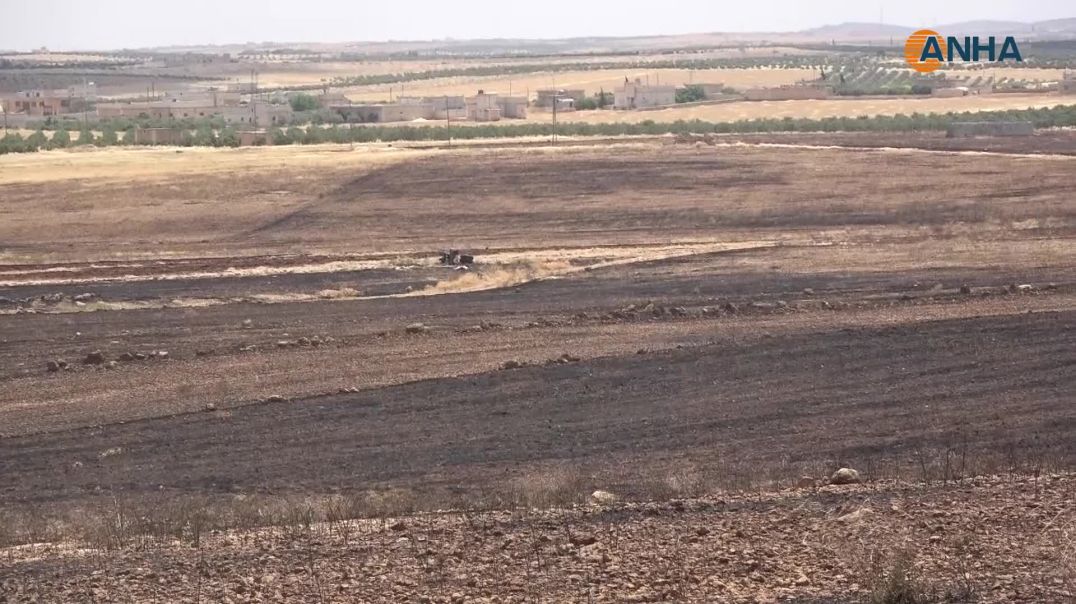 1500 هكتار وأكثر من 18 ألف شجرة زيتون احترقوا بسبب الاحتلال ومرتزقته