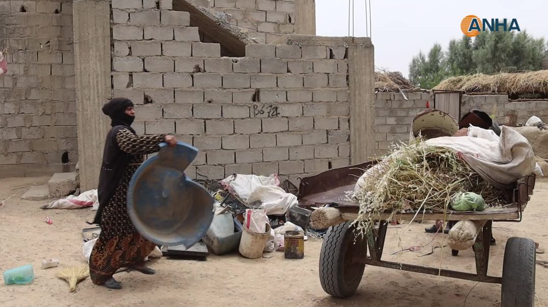 عربة الجرّ وسيلة نقل تقليدية صديقة للبيئة تفضّلها نساء إحدى قرى دير الزور