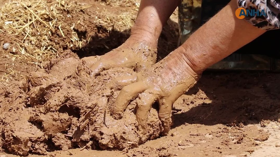 من الطين إلى الذهب السائل.. رحلة خلايا النحل وتوزيع عسلها