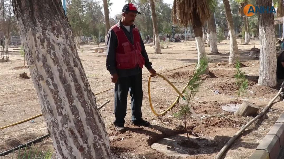 مبادرة لزراعة الأشجار في قامشلو