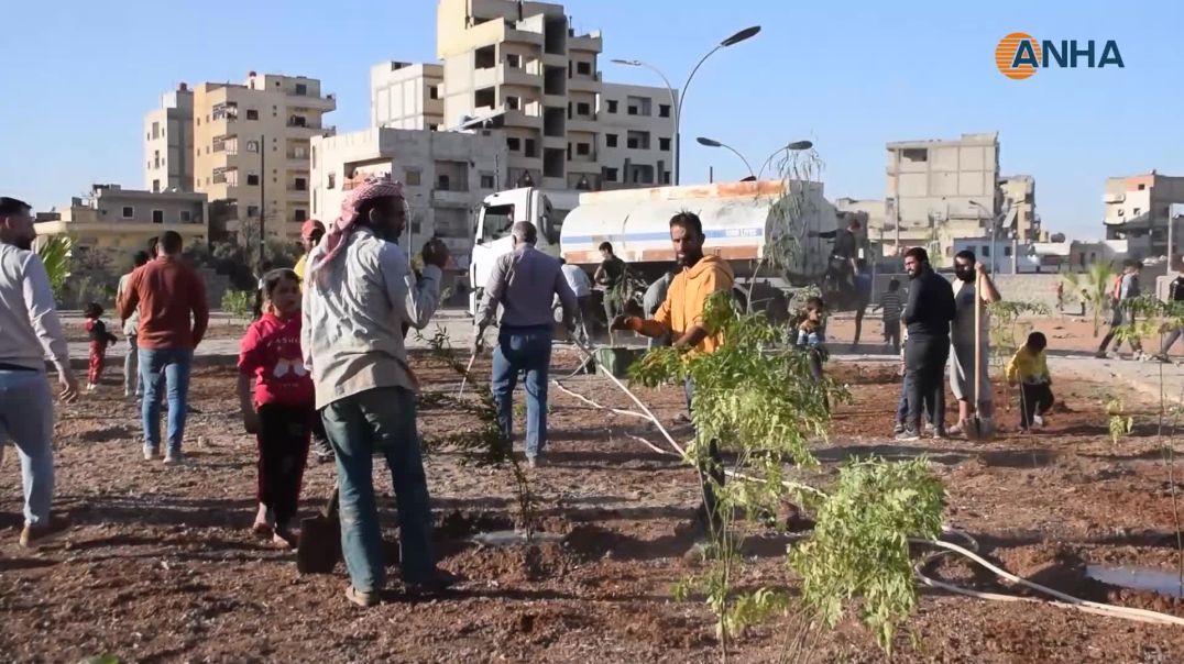 "يلا نشجرها" مبادرة شعبية في الرقة لتعزيز الغطاء النباتي للمدينة