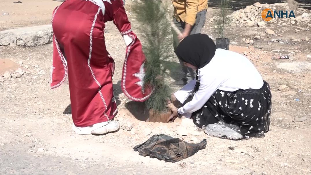 ⁣ فرق مسرحية من مهرجان آرين تشارك في زراعة الأشجار في كوباني