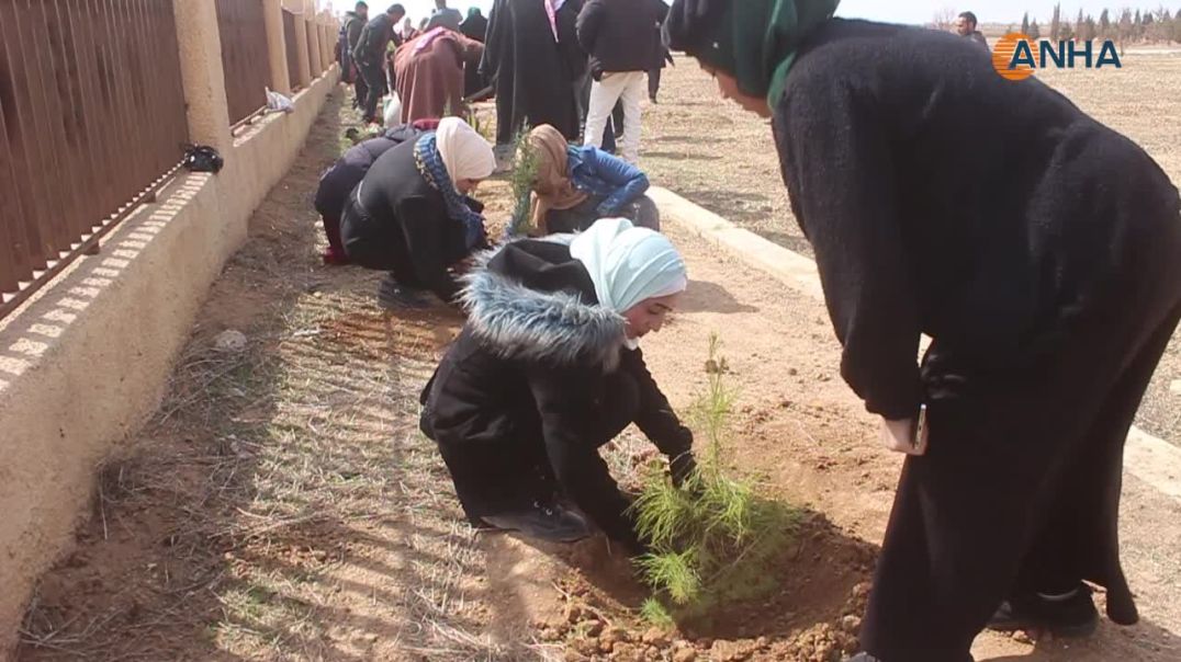 فعاليات ثقافية وبيئية وفنية في مقاطعة الجزيرة وحلب بمناسبة 8 آذار