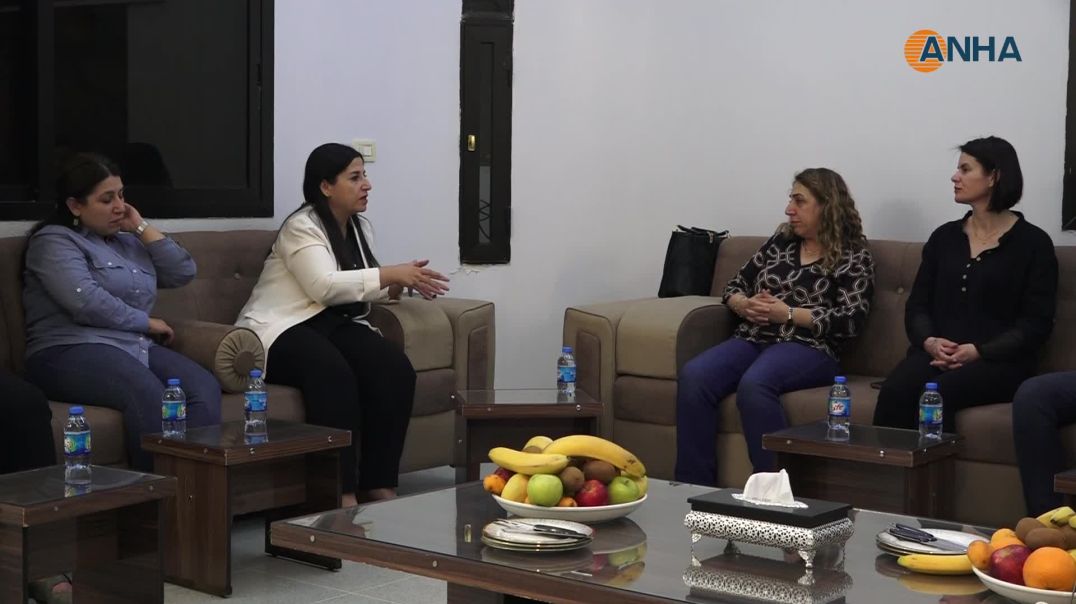 Şandeya DEM Partî wê rêzehevdîtinan pêk bîne