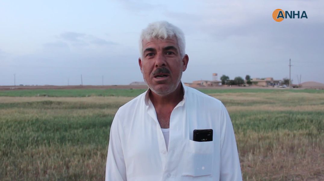 ⁣الزراعة أمام تحدٍّ وجودي: الجفاف يقضي على المحاصيل ويهدد الأمن الغذائي