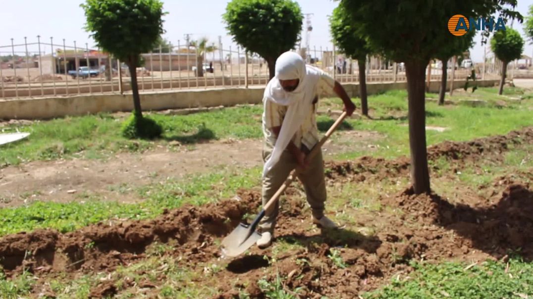 الحاج جمعة.. موظف يزرع الجمال في حدائق تل براك