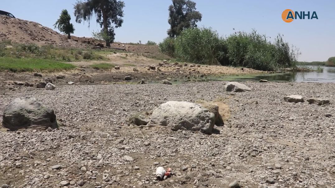 ⁣تركيا والجفاف يتقاسمان الإضرار بمزارعي شمال وشرق سوريا- دير الزور
