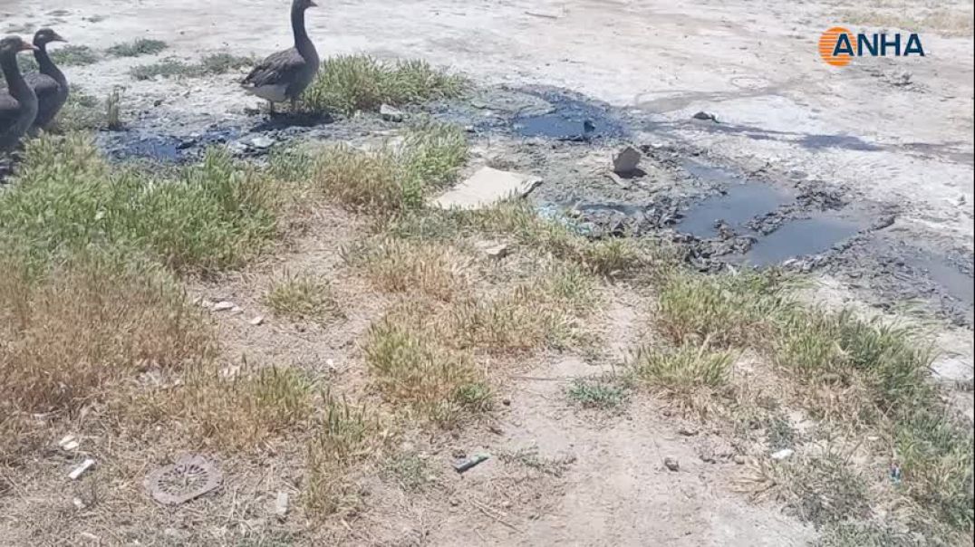 أزمة صرف صحي في أحد أحياء الهول والبلدية توضح السبب