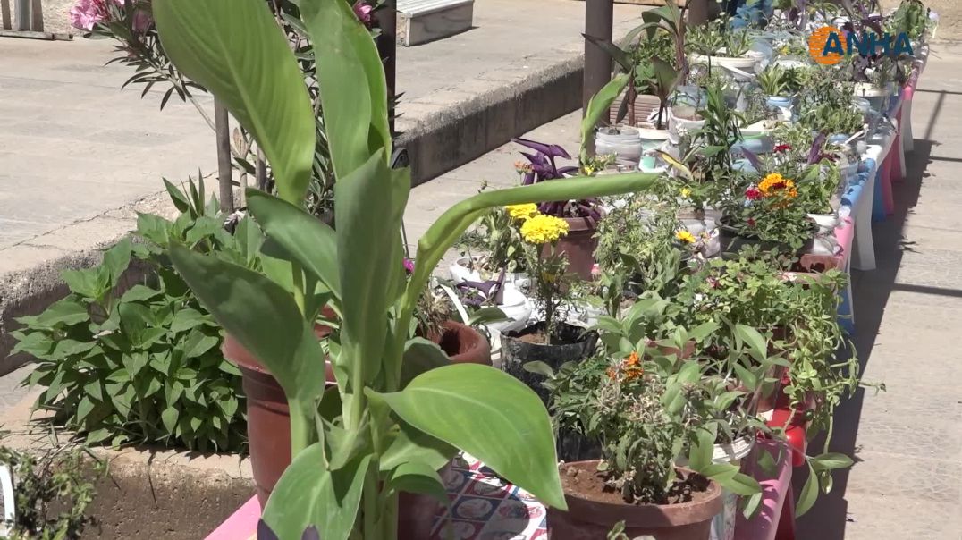 ⁣Xwendekar û mamosteyan Cejna Zimanê Kurdî pîroz kir