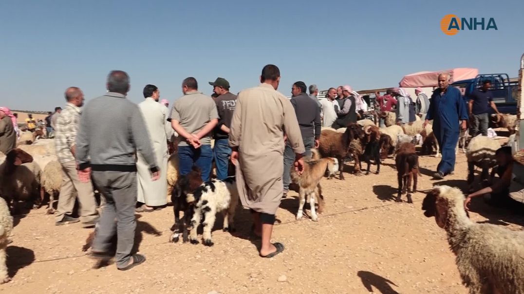 عيد الأضحى في شمال وشرق سوريا.. استعدادات وطقوس راسخة رغم التحديات الاقتصادية-كوباني