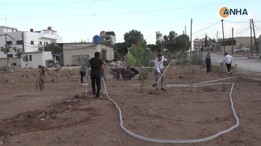 Desteya Jîngehê bi xelkê komînek Qamişloyê re dar çandin