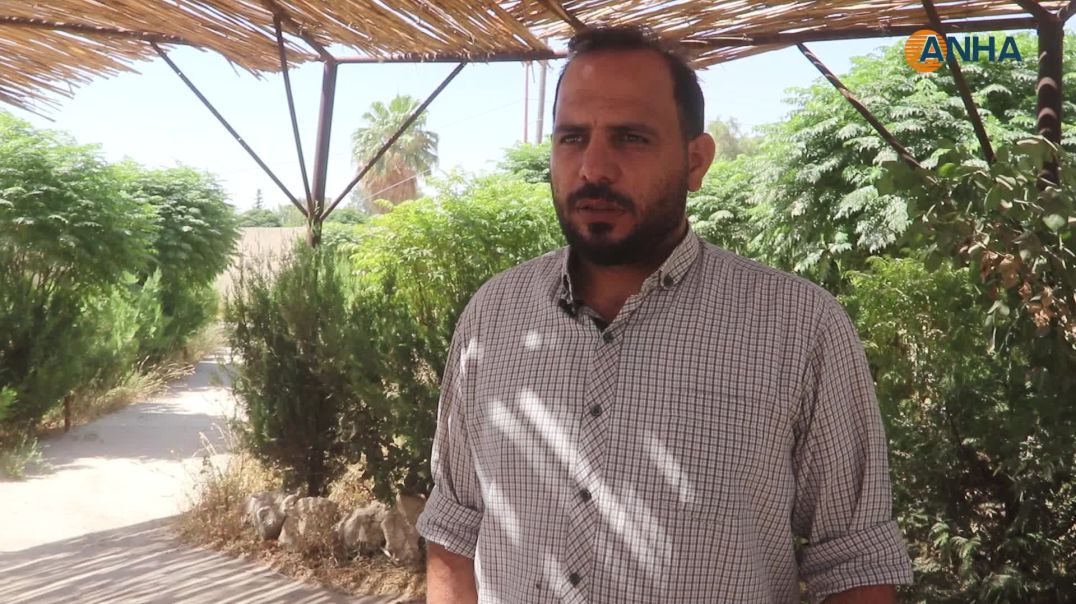 ⁣هيئة الزراعة والري في الرقة تقدم الرخص الزراعية للموسم الصيفي