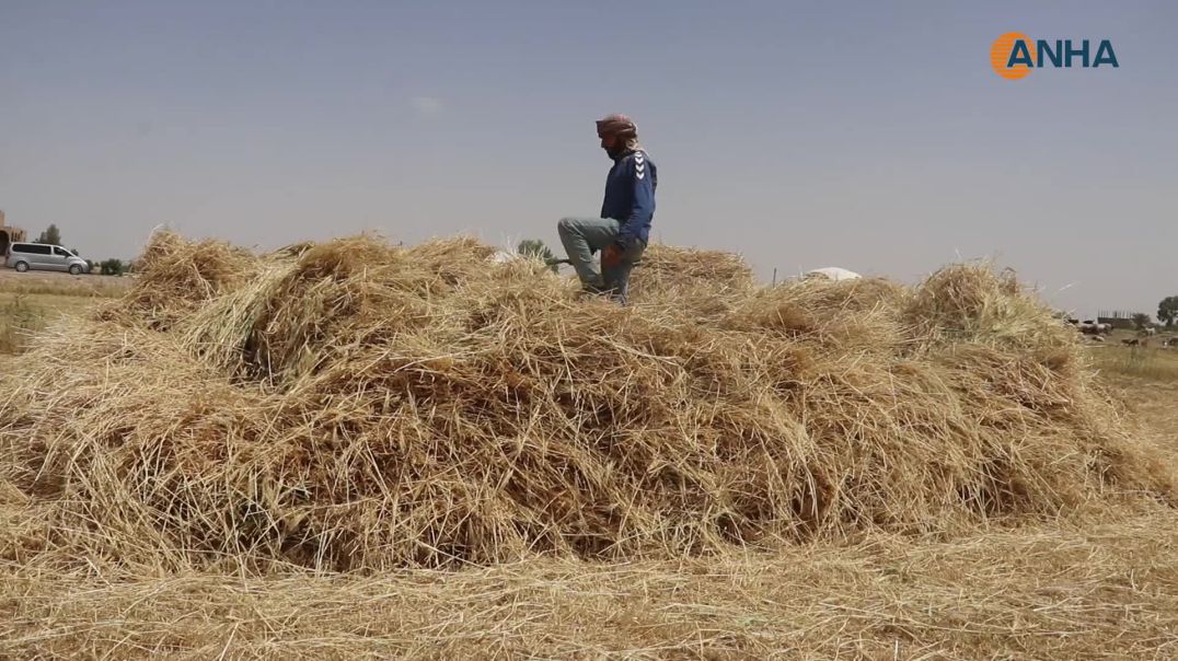 ⁣"الفزعة" في مقاطعة دير الزور... إرث يجسد روح التطوع في كل الأعمال