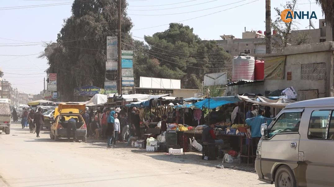 بلدية الحسكة تستعد لإطلاق حملة رش مبيدات حشرية وتدعو الأهالي للتعاون