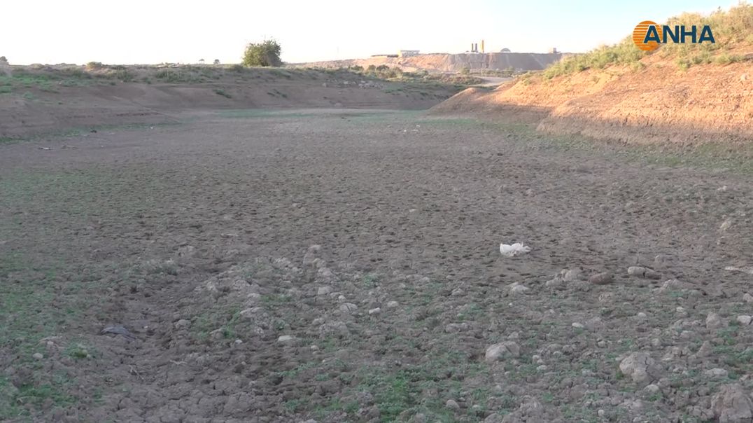 من نهر زاخر بالحياة إلى مجرى جاف