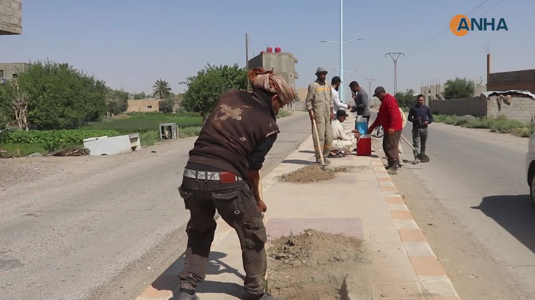 انطلاق مبادرة لزراعة 500 شجرة في مدينة هجين بمقاطعة دير الزور