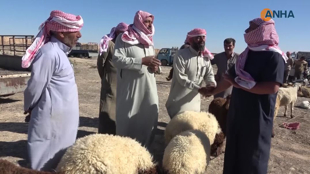 افتتاح سوق البازار في عين عيسى بعد 13 عاماً