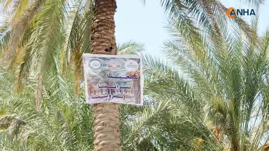مهرجان النخيل الـ4 يحتفي بمنتجات التمر المحلية في مقاطعة دير الزور