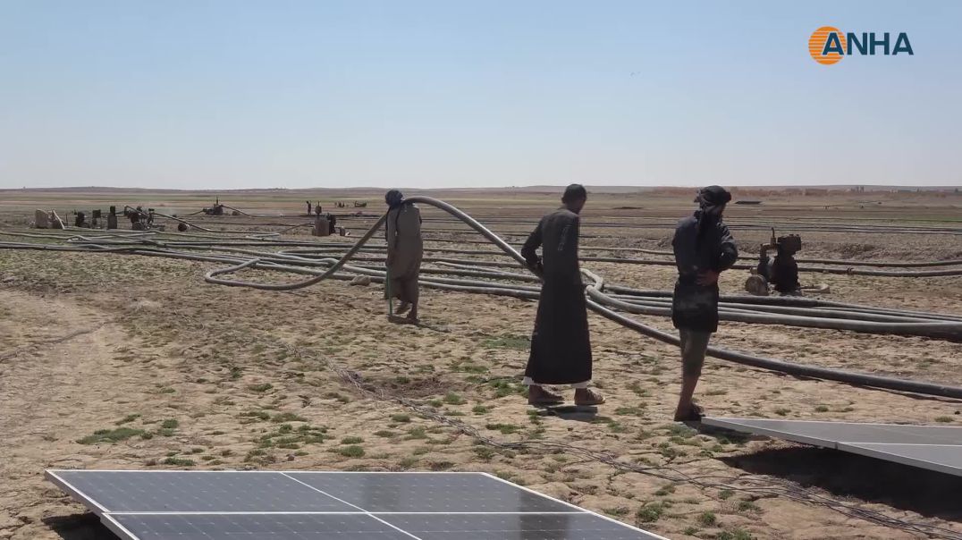 ⁣الزراعة تُحتضر على ضفاف الفرات نتيجة النقص الحاد في الوارد المائي