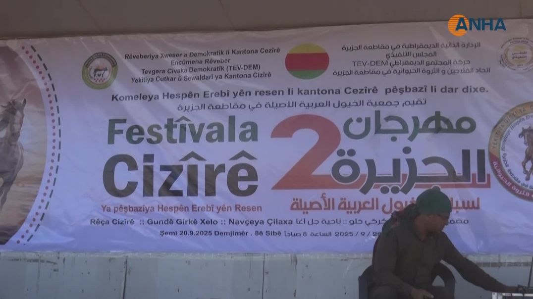60 فارساً يشاركون في المهرجان الثاني للخيول العربية الأصيلة