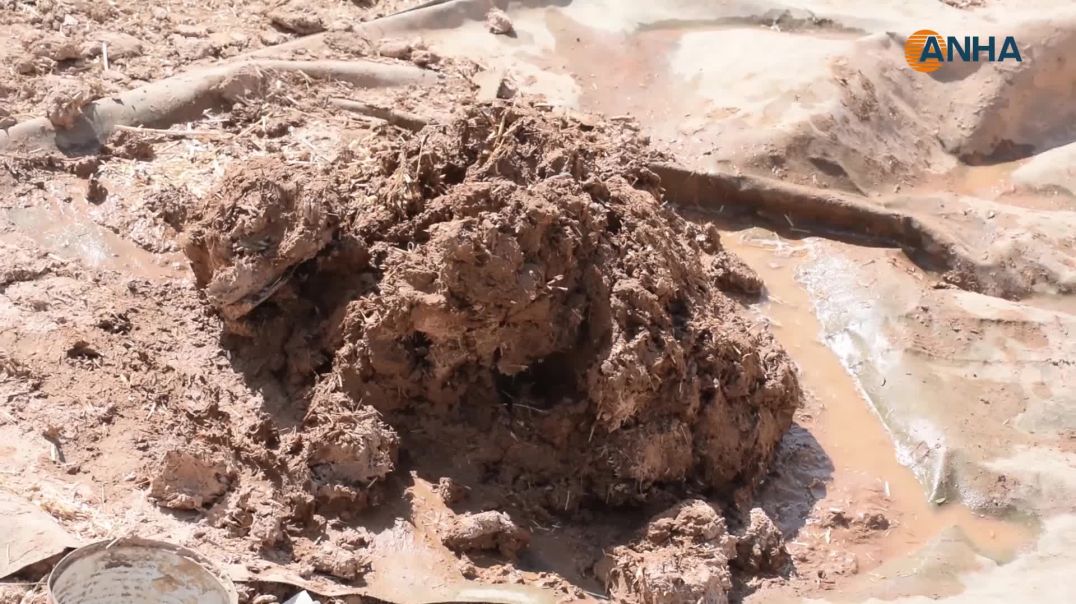 التنور.. جسر بين الماضي والحاضر في صناعة الخبز