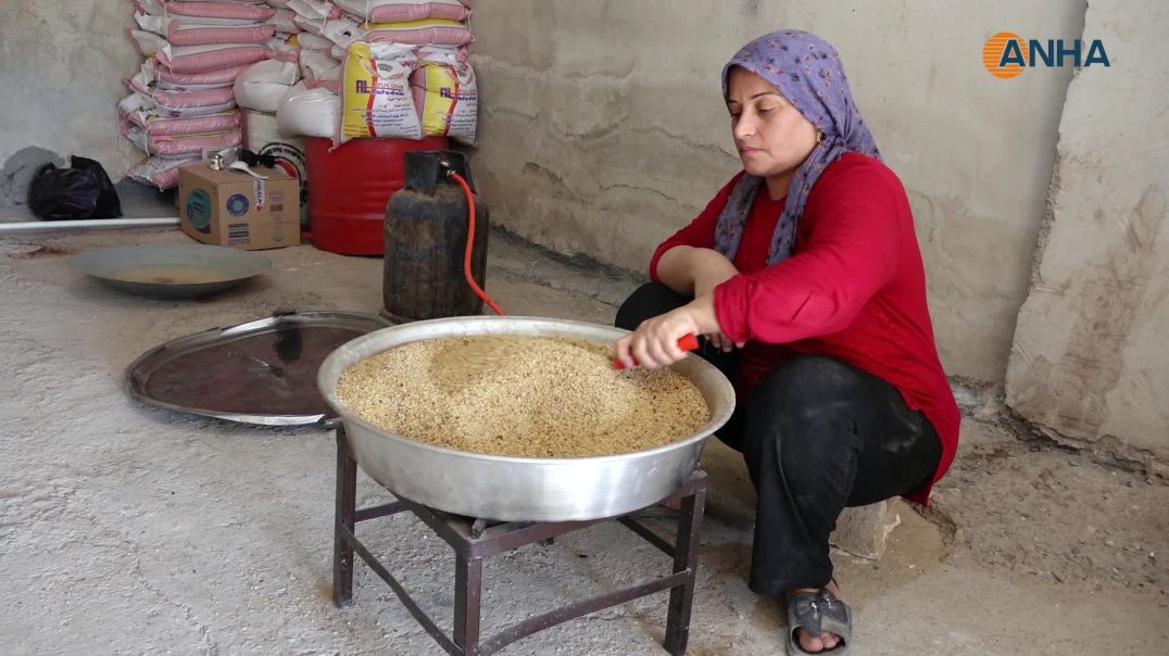زعتر عفرين من إنتاج المهجّرات