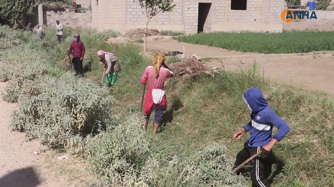 مبادرة شعبية لتنظيف قنوات الري وتأهيل الطرق الزراعية في مقاطعة دير الزور