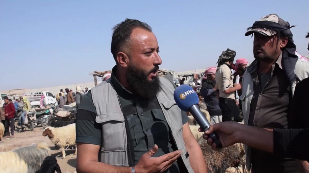 الجفاف وغلاء الأعلاف يهددان ما تبقّى من ثروة حيوانية في الشدادي