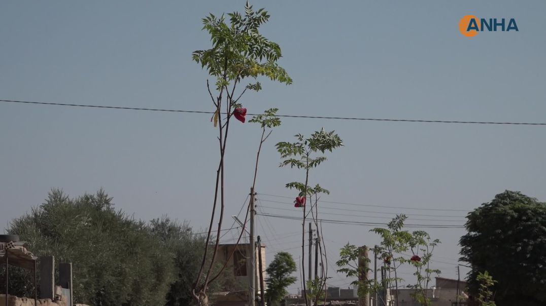 ⁣أهالي تل معروف ينفذون 5 مشاريع خدمية حيوية عبر العمل التشاركي