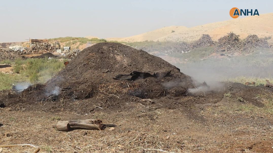 صناعة الفحم في الرقة مهنة جديدة تحقق الاكتفاء المحلي