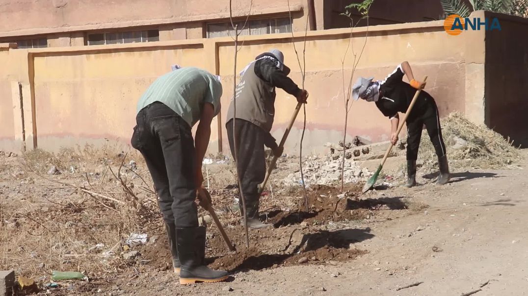 مبادرة تطوعية لتحسين الواقع الخدمي والبيئي في مقاطعة دير الزور