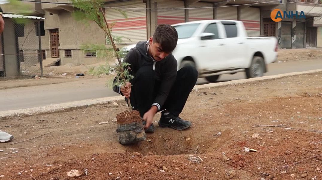 زراعة 50 شجرة على طريق الحزام الجنوبي في قامشلو