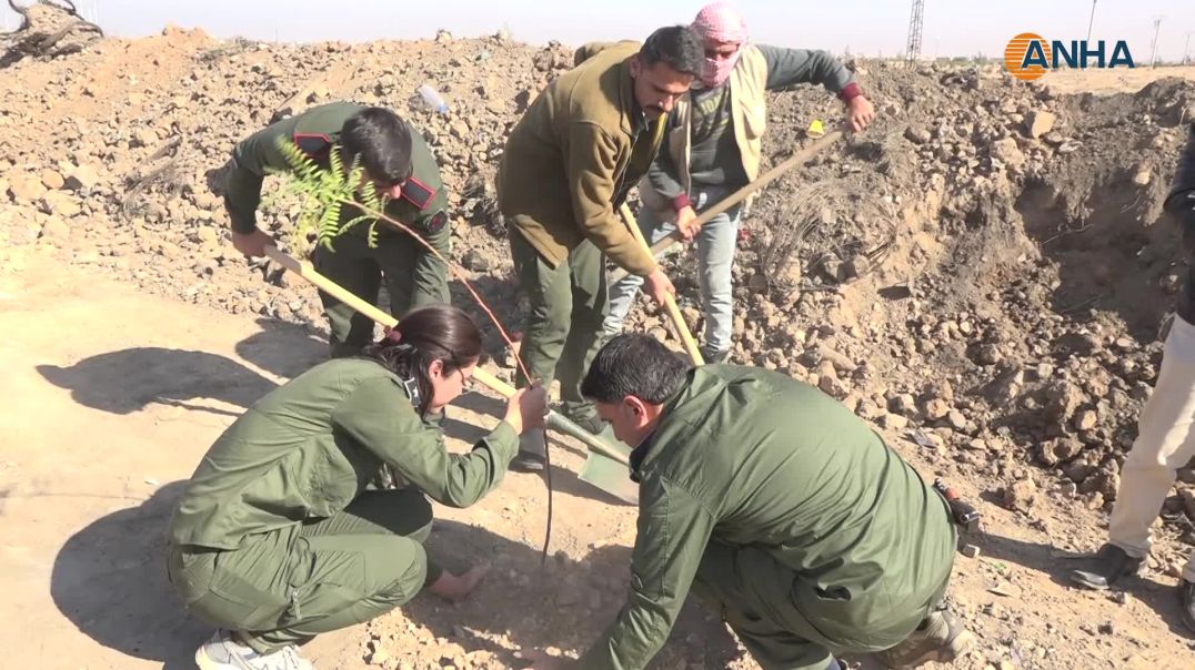 قوى الأمن الداخلي تزرع الأشجار في حواجز مدينة الطبقة