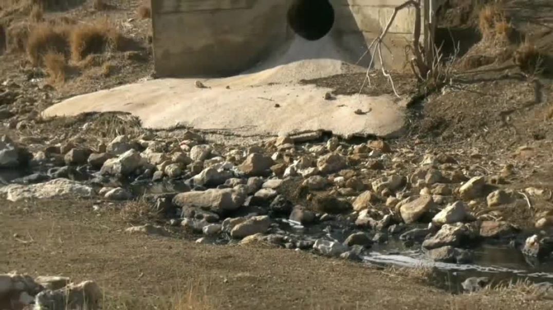 صحة الأطفال وأرزاق المزارعين.. ضحايا إهمال نهر الساروت في حماة