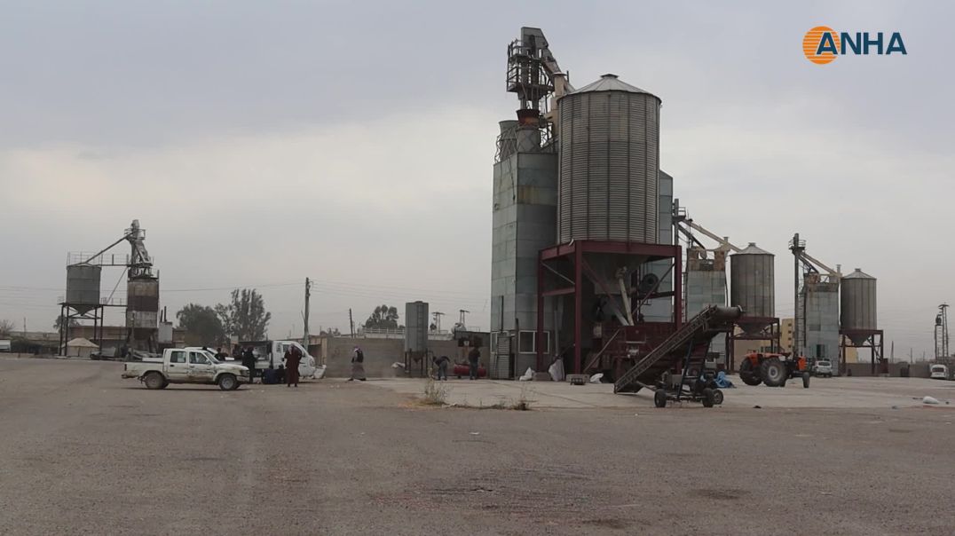 ⁣تشغيل مجفف الذرة الصفراء لحماية المحاصيل وتسهيل عمل المزارعين