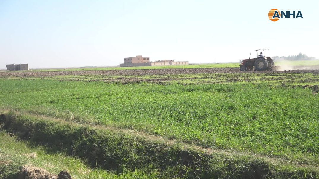 البدء بزارعة الموسم الشتوي في دير الزور وإشادة بالدعم المبكر