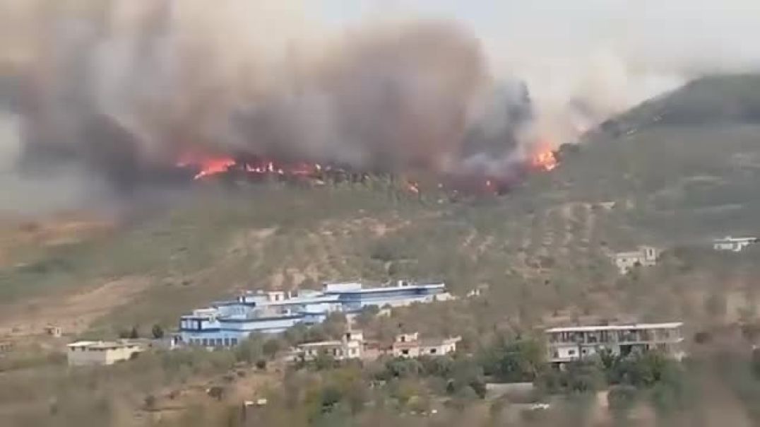 حرائق واسعة تهدد أحراج طرطوس وسط مناشدات للتدخل العاجل