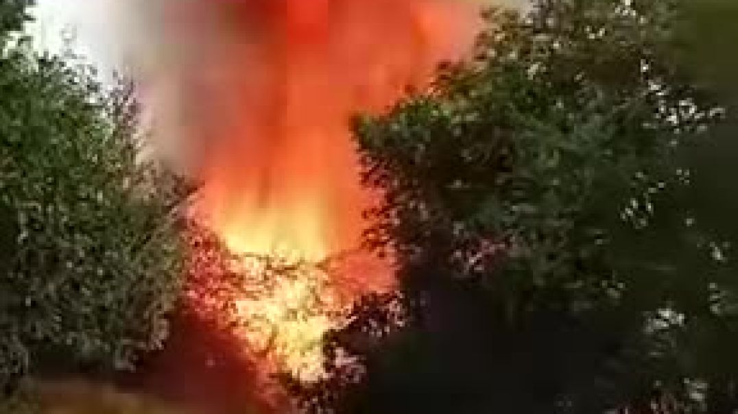 اندلاع حريق على أوتوستراد الهنادي في اللاذقية وامتداده إلى الأشجار المجاورة