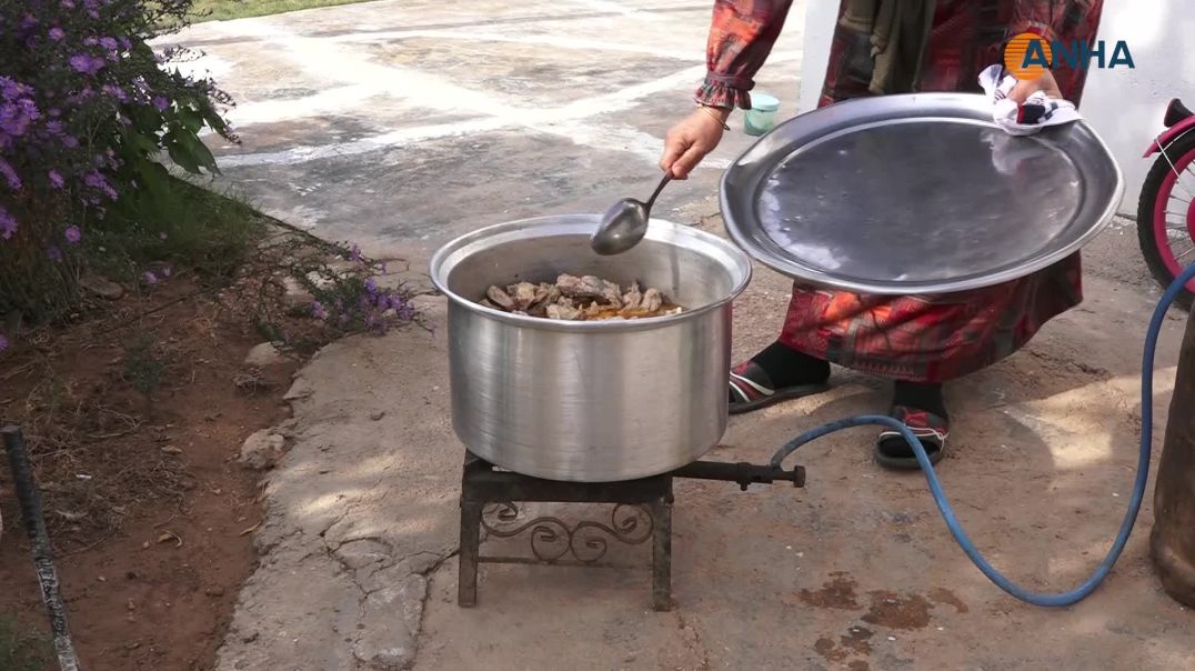 Şêniyan rêûresma zêw li dar xist