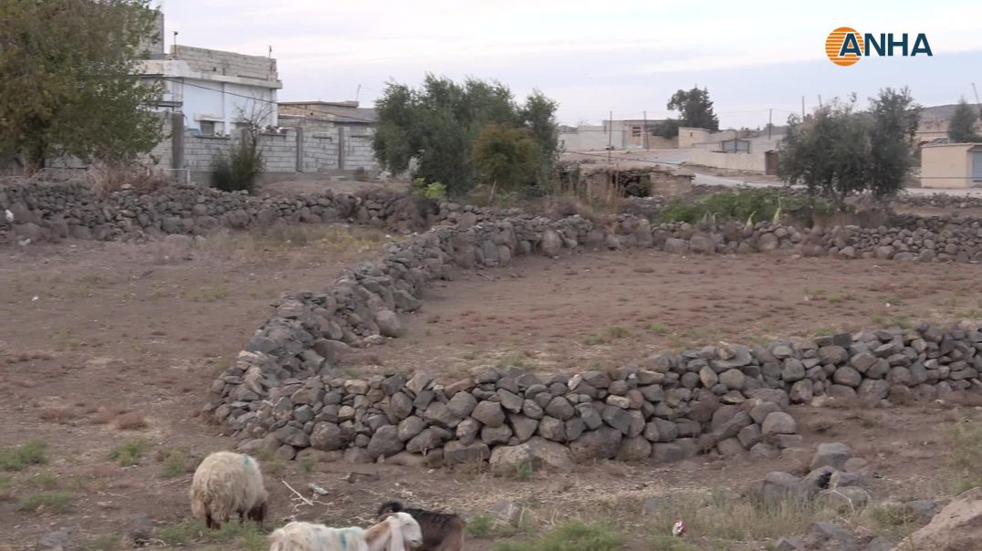 مشاهد من الحياة الريفية في مقاطعة الجزيرة