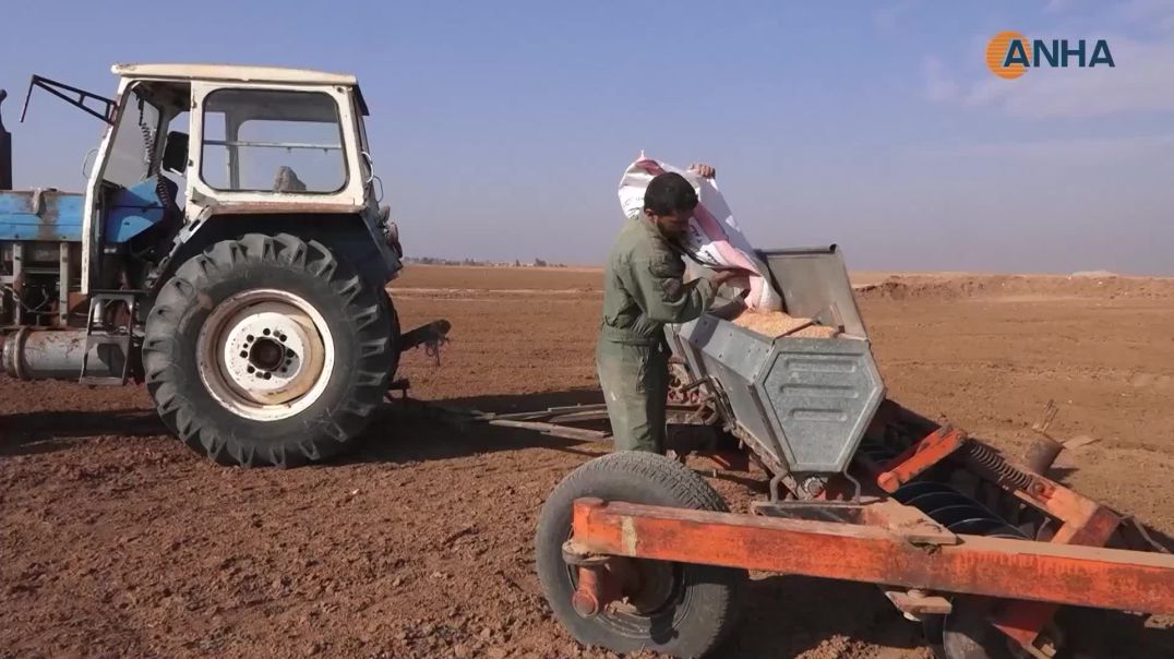 ⁣مزارعو شمال وشرق سوريا يباشرون زراعة محاصيلهم الاستراتيجية