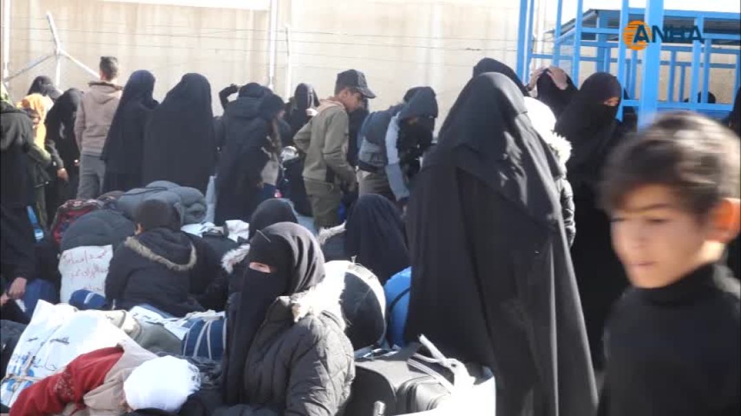 240 أسرة عراقية تغادر مخيم الهول إلى بلادها