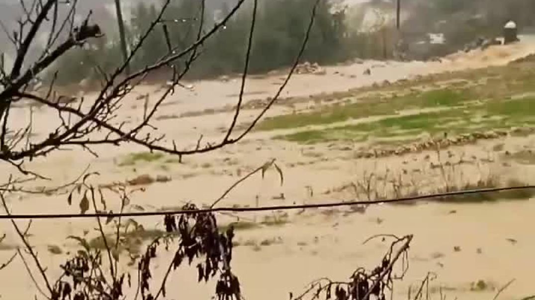 هطولات ثلجية وأمطار غزيرة تشهدها مناطق واسعة من سوريا وتفاقم معاناة قاطني المخيمات